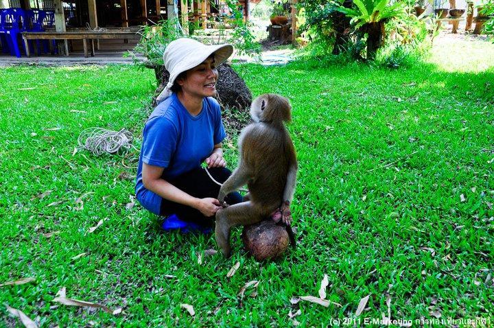 Ruean Thai Nai Bang By Pansak Resort Surat Thani Exteriör bild